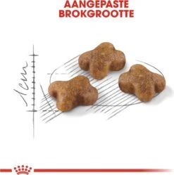 Royal Canin Kitten - Kittenvoer - 2 Kg -Huisdierbenodigdheden Korting 1190x1200 22