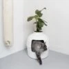 XXL Kattenbak – Verborgen Kattentoilet – Flower XXL Wit Voor Grote Katten Van RHRQuality 2 XXL Kattenbak – Verborgen Kattentoilet – Flower XXL Wit Voor Grote Katten Van RHRQuality -Huisdierbenodigdheden Korting 1190x1200 24