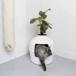 XXL Kattenbak – Verborgen Kattentoilet – Flower XXL Wit Voor Grote Katten Van RHRQuality