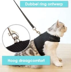 Kattentuigje Met Leiband Riem Kattenharnas Roze Maat S Kat & Kitten - Dieren Kattenriem - Cat Leash - Halsomvang 15 Tot 20cm - Borstomvang 25 Tot 30cm - Zootic® 17 Kattentuigje Met Leiband Riem Kattenharnas Roze Maat S Kat & Kitten - Dieren Kattenriem - Cat Leash - Halsomvang 15 Tot 20cm - Borstomvang 25 Tot 30cm - Zootic® -Huisdierbenodigdheden Korting 1194x1200 29