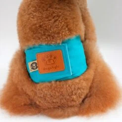 Merkloos Hondenluier Voor Kleine Hond - Luier Voor Reu - Buikband Maat S 27 Cm X 25 Cm -Huisdierbenodigdheden Korting 1194x1200 5