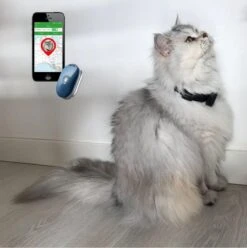 Reptrek® Minitrek GPS Tracker Voor Hond En Kat - Blauw - 4.9 X 3.3 X 1.5 Cm -Huisdierbenodigdheden Korting 1197x1200 15