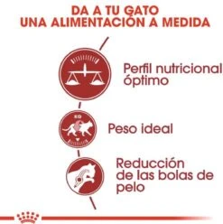 Royal Canin Fit 32 4 Kg 20 Royal Canin Fit 32 4 Kg -Huisdierbenodigdheden Korting 1197x1200 18