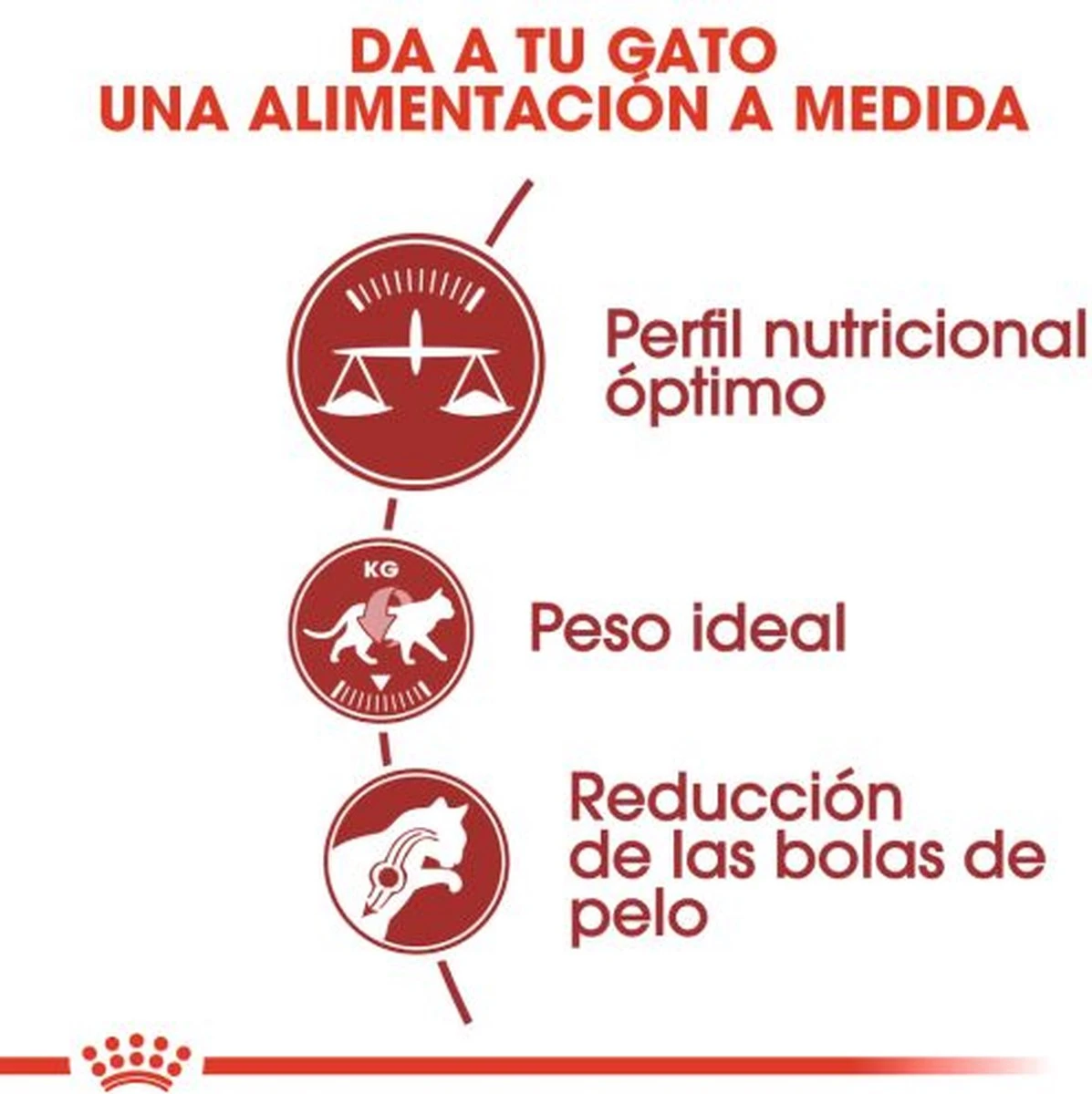 Royal Canin Fit 32 4 Kg 6 Royal Canin Fit 32 4 Kg - Image 4