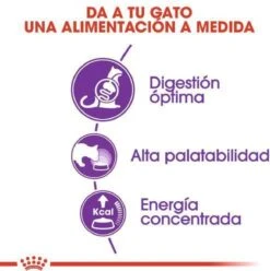 Royal Canin Sensible 33 - Kattenvoer - 10+2 Kg Bonusbag -Huisdierbenodigdheden Korting 1197x1200 21