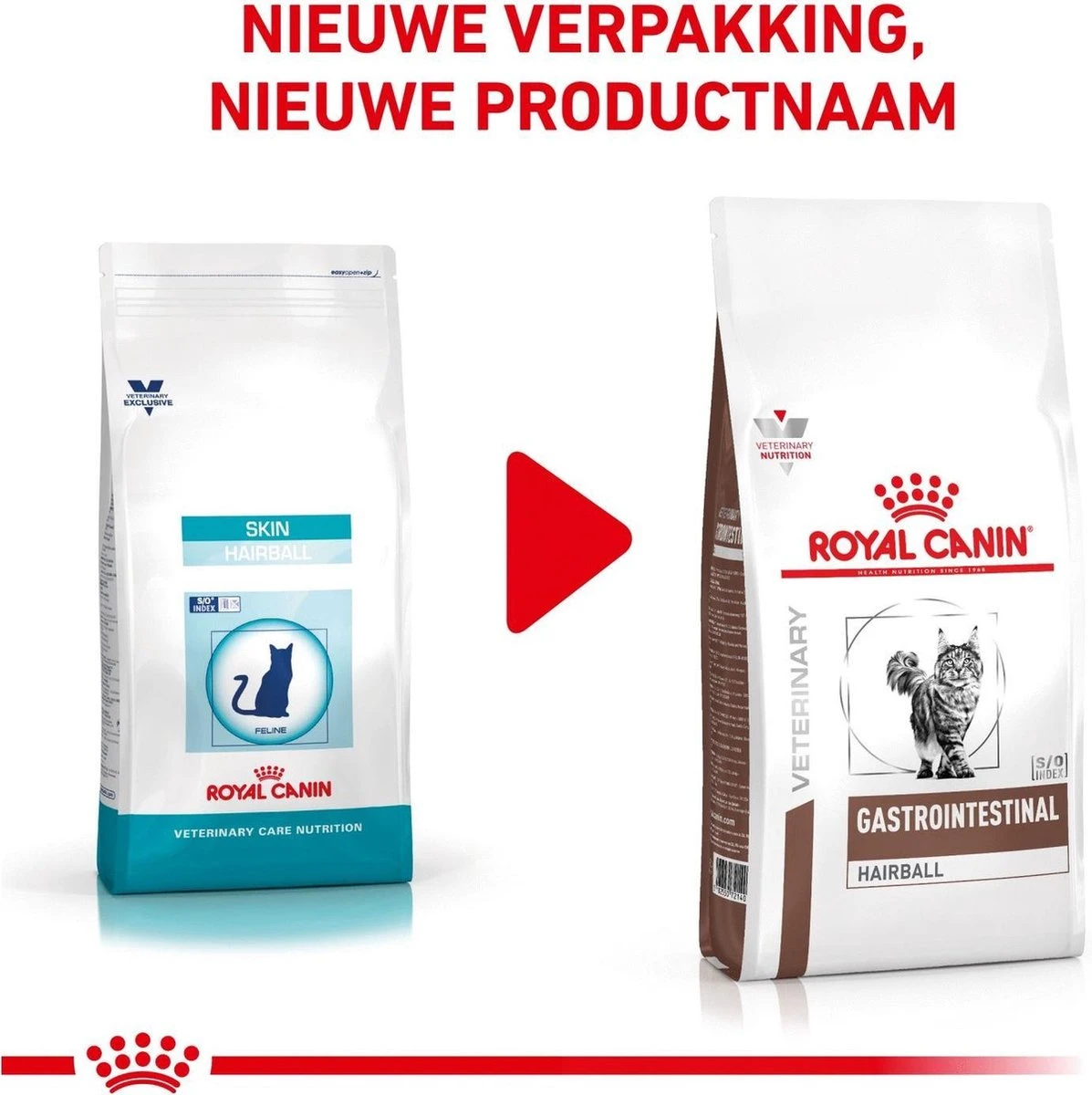 Royal Canin Gastro Intestinal Hairball - Kattenvoer Ter Ondersteuning Bij Haarballen 4 Kg 4 Royal Canin Gastro Intestinal Hairball - Kattenvoer Ter Ondersteuning Bij Haarballen 4 Kg - Image 2