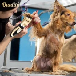 Merkloos Professionele Honden Tondeuse Set - Tondeuse Voor Huisdier Honden En Katten - Hondentrimmer - Hondentondeuse -Huisdierbenodigdheden Korting 1198x1200 11