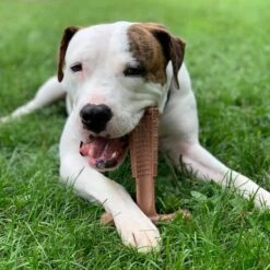 Spot Bam-Bones Plus Easy Grip - Veilig Kauwbot Voor Honden - Speciaal Voor Sterke Kauwers - Verzorgt Het Gebit Van De Hond - Rund Of Kip - S/M/L - Maat: Large, Smaak: Kip -Huisdierbenodigdheden Korting 1198x1200 29