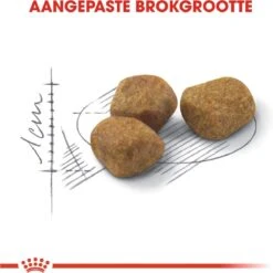 Royal Canin Fit 32 4 Kg 21 Royal Canin Fit 32 4 Kg -Huisdierbenodigdheden Korting 1198x1200 41