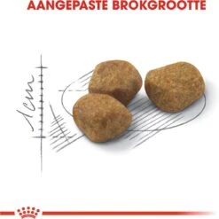 Royal Canin Indoor 7+ - Kattenvoer - 3,5 Kg 23 Royal Canin Indoor 7+ - Kattenvoer - 3,5 Kg -Huisdierbenodigdheden Korting 1198x1200 44