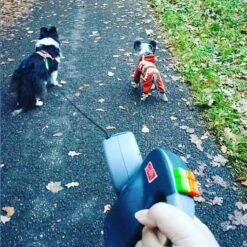 Wigzi Dual Doggie 2.0 Voor Twee Honden - Hondenriem - Grijs - 3m - <22 Kg (per Hond) -Huisdierbenodigdheden Korting 1198x1200 5