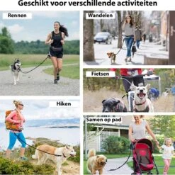 Filo Elastische Hondenriem Groot - Hardlopen En Wandelen - Hardloopriem Hond Handsfree Met Heuptasje - Looplijn Met Heupriem - Canicross Gordel Honden - Riemen - Heupgordel - Leiband -Huisdierbenodigdheden Korting 1199x1200 1