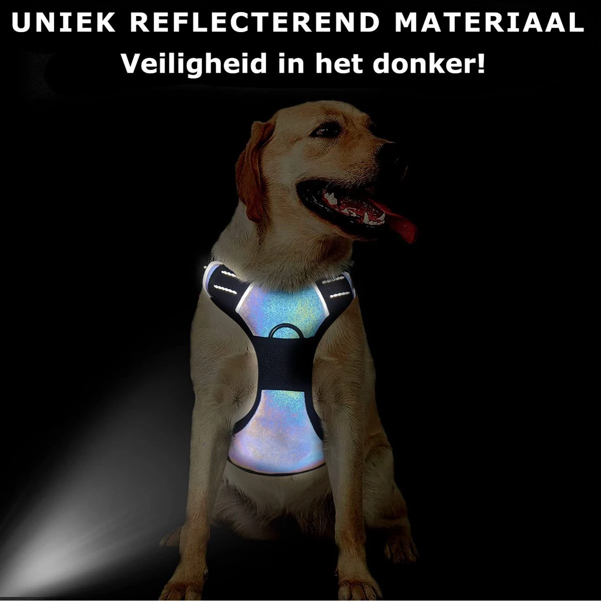 Mister Mill Hondentuigje 2x Klikgesp Maat L Grijs - Anti-Trek Tuig Hondenharnas - Y Tuig Hond Reflecterend 9 Mister Mill Hondentuigje 2x Klikgesp Maat L Grijs - Anti-Trek Tuig Hondenharnas - Y Tuig Hond Reflecterend - Image 7