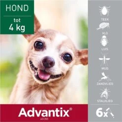 Bayer Advantix Vlooien & Teken Pipetten - Hond Tot 4Kg - 6 Stuks -Huisdierbenodigdheden Korting 1199x1200 18
