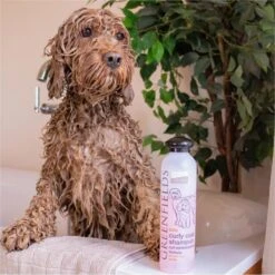 Greenfields Labradoodle Vacht Verzorgingsset - Shampoo En Anti-Klit Spray Voor Langharige Of Krullende Vacht -Huisdierbenodigdheden Korting 1199x1200 2