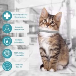 Biologische Vlooien- En Tekenband Voor Katten - BLAUW - Zonder Giftige Pesticiden - Veilig En Verantwoord -Huisdierbenodigdheden Korting 1199x1200 31