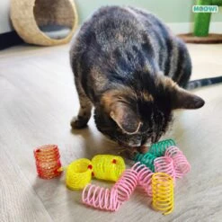Moowi - Springveren 30 Stuks - Kat - Kattenveertjes - Kattenspeelgoed -Huisdierbenodigdheden Korting 1199x1200 42