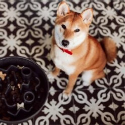 District 70 BAMBOO Slowfeeder - Stijlvolle Anti-schrok Voerbak Voor Honden - Kleur: Donkergrijs, Maat: Large Ø28 Cm (2500 ML) -Huisdierbenodigdheden Korting 1199x1200 9