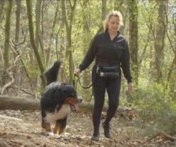 Canicross Looplijn Hond Met Heupriem Voor Hardlopen - Elastische Handsfree Hondenriem - Honden Trainingslijn - 150/210cm - Zwart -Huisdierbenodigdheden Korting 1200x1000 1