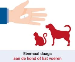 Pharmox Hond & Kat Groenlipmossel 60 Capsules -Huisdierbenodigdheden Korting 1200x1000 13