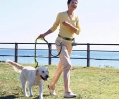 Canicross Looplijn Hond Met Heupriem Voor Hardlopen - Elastische Handsfree Hondenriem - Honden Trainingslijn - 150/210cm - Zwart -Huisdierbenodigdheden Korting 1200x1000 6