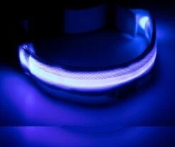 Honden Halsband Led Verlichting – Reflecterende Hals Band - Reflective Dog Collar Led Lights -Huisdierbenodigdheden Korting 1200x1005 6
