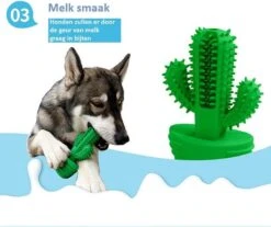 Tandenborstel + TANDPASTA Hond Melk Geur Smaak En Piep Honden Speelgoed - Cactus Dog Toy Tandverzorging Kauwbotten Hondenspeelgoed Hondenbot Kauwstaaf Tanden Puppy Hondenspeeltje Sterk Kauwspeelgoed - Dutchwide -Huisdierbenodigdheden Korting 1200x1008 4