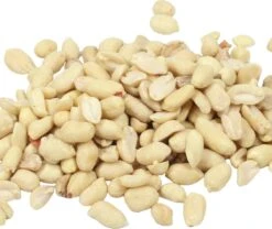 Topdiervoeding Witte Gepelde Pinda’s Voor Vogels En Eekhoorns - Tuinvogelvoer - 10 KG