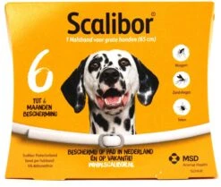 MSD Intervet Tekenband Scalibor Grote Rassen - Large (65 Cm) -Huisdierbenodigdheden Korting 1200x1014 2