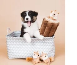 Zippy Paws - Petshop By Fringe Studio- Intelligentie Spel - Speelgoed Hond - Honden - Puzzel - Eekhoorn -Huisdierbenodigdheden Korting 1200x1014 4