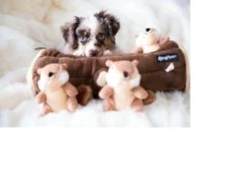 Zippy Paws - Petshop By Fringe Studio- Intelligentie Spel - Speelgoed Hond - Honden - Puzzel - Eekhoorn -Huisdierbenodigdheden Korting 1200x1014 5