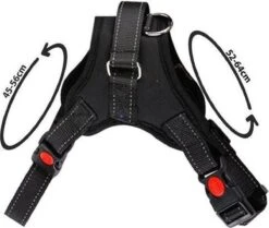 PetsPro Hondentuigje - Maat M - Anti Trek Honden Harnas - Honden Tuig - Tot 30 Kg - Nek Omvang: 45-56 Cm Borst Omvang: 52-64 Cm -Huisdierbenodigdheden Korting 1200x1016 4