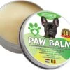 100% Natuurlijke Potenbalsem - Paw Balm - Voor Honden - Van 10-20 Kg - Beschermt Voetzooltjes - Tegen Kloven, Wondjes, Ontstekingen - Made In Holland -Huisdierbenodigdheden Korting 1200x1017 2