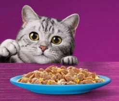 Whiskas 1+ Natvoer - Vis - Selectie In Gelei - Maaltijdzakjes 40 X 85 G -Huisdierbenodigdheden Korting 1200x1019 4