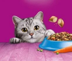 Whiskas 1+ Kattenbrokken - Tonijn - Zak 1 X 7 Kg -Huisdierbenodigdheden Korting 1200x1019 6