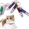 Merkloos Laser Lampje Voor Kat - Met Mini Zaklamp - Kattenlampje