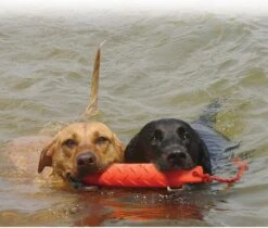 Kong Training Dummy - Hondenspeelgoed - Oranje - L - 27 Cm -Huisdierbenodigdheden Korting 1200x1022 6