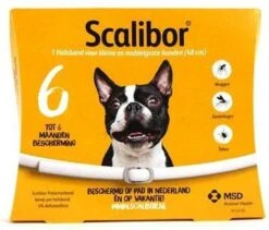 MSD Intervet Tekenband Scalibor Grote Rassen - Large (65 Cm) -Huisdierbenodigdheden Korting 1200x1023 1
