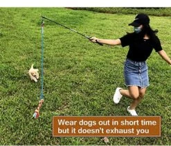 CF Pack - Hond Buitenspeelgoed Actief Behendigheid Touw Dog Flirt Pole Flirtpole Toy Tug Tease Wand Non-Bungee Cord Dog Toy For Fun Obedience Training Extandable Toy Honden Speelgoed Hondenspeelgoed Behendigheidspeelgoed -Huisdierbenodigdheden Korting 1200x1026 5