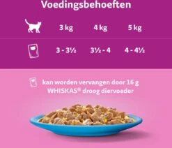 Whiskas 1+ Natvoer - Vis - Selectie In Gelei - Maaltijdzakjes 40 X 85 G -Huisdierbenodigdheden Korting 1200x1030 8