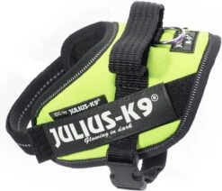 Julius K9 Julius-K9 IDC®Powertuig, XS - Mini-Mini, Neon