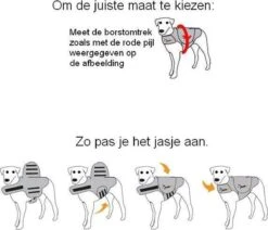 Thundershirt Antistress Vest - Dieren Antistressmiddel - Hond - Grijs - S - 43-53 Cm 19 Thundershirt Antistress Vest - Dieren Antistressmiddel - Hond - Grijs - S - 43-53 Cm -Huisdierbenodigdheden Korting 1200x1031 5