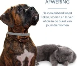 Merkloos Vlooienband Hond - 8 Maanden Bescherming - Vlooienband - Natuurlijk - Tekenband - Anti Vlooien - 63cm - Fit All Sizes - Vlooienbandjes Hond - Vlooien - Teken -Huisdierbenodigdheden Korting 1200x1032 4