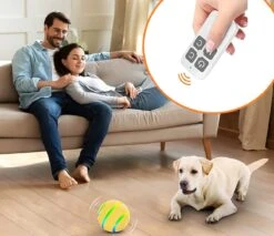 Good Experience Interactieve Hondenbal 3.0 – Honden Speelgoed Intelligentie – Puppy Speelgoed – Hondenspeeltjes – De Enige Die Werkt Met Afstandsbediening – De Veilige Bal Voor Jouw Hond – One Size – Oranje -Huisdierbenodigdheden Korting 1200x1034 4