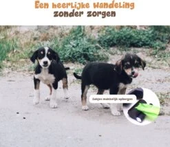 Dubbele Honden Riem – Leiband Hond – Hondenlijn – Looplijn Hond – 2 Honden – 3 Meter – Tot 12kg Per Hond – Reflecterende Lijnen – Met Zaklamp – 360° Draaien – Verstelbaar - Navy Blauw -Huisdierbenodigdheden Korting 1200x1035