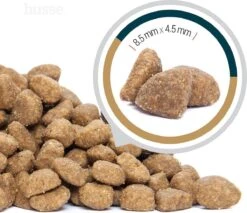 Husse Opus Lynx Senior Graanvrij Kattenvoer - 7 Kg -Huisdierbenodigdheden Korting 1200x1036 11