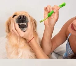 Merkloos Tandenborstel - Voor Huisdieren - Honden - 3 Zijdig - Multi-Hoek - Schoonmaken - Tanden - Slechte Adem - Tandsteen - Tandenborstel - Gezondheid - Blauw -Huisdierbenodigdheden Korting 1200x1042 4