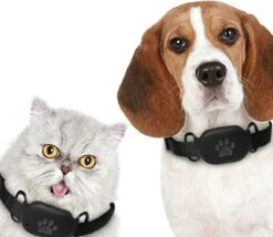 Reptrek® Minitrek GPS Tracker Voor Hond En Kat - Blauw - 4.9 X 3.3 X 1.5 Cm -Huisdierbenodigdheden Korting 1200x1042 5