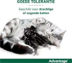 Bayer Advantage 40 Tegen Vlooien - <4kg - 4 X 0,4 Ml - Adult -Huisdierbenodigdheden Korting 1200x1042 6
