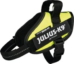 Julius K9 Julius-K9 IDC®Powertuig, XS - Mini-Mini, Neon -Huisdierbenodigdheden Korting 1200x1043 2